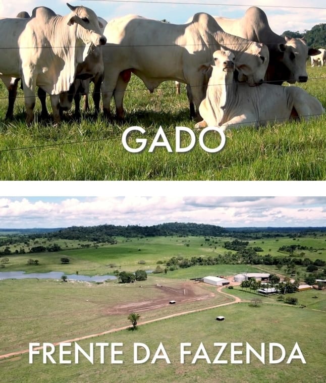 Stec Imóveis - Imobiliaria em Contenda Stec Imóveis - Imobiliaria em Contenda