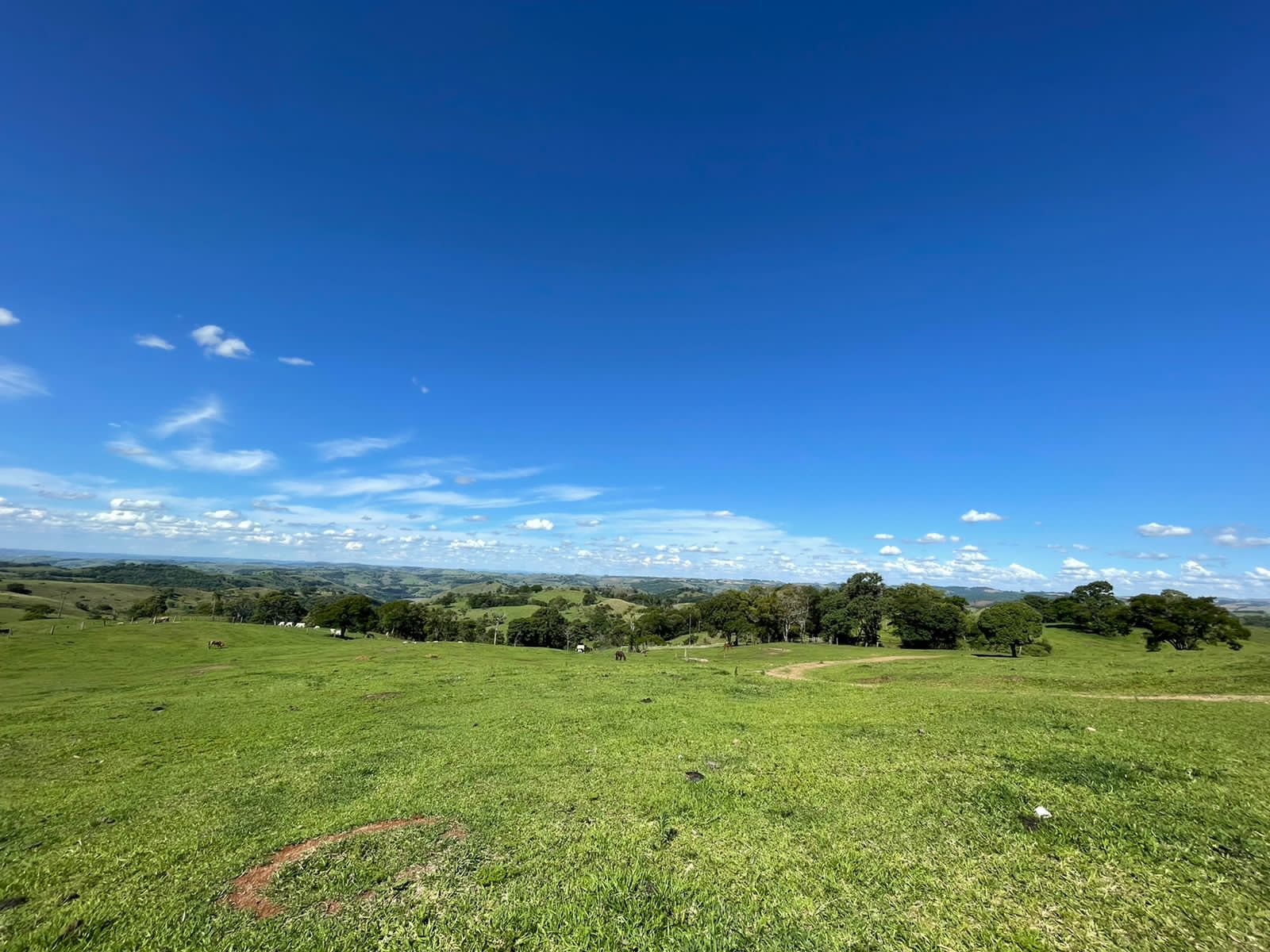 Stec Imóveis - Imobiliaria em Contenda Stec Imóveis - Imobiliaria em Contenda