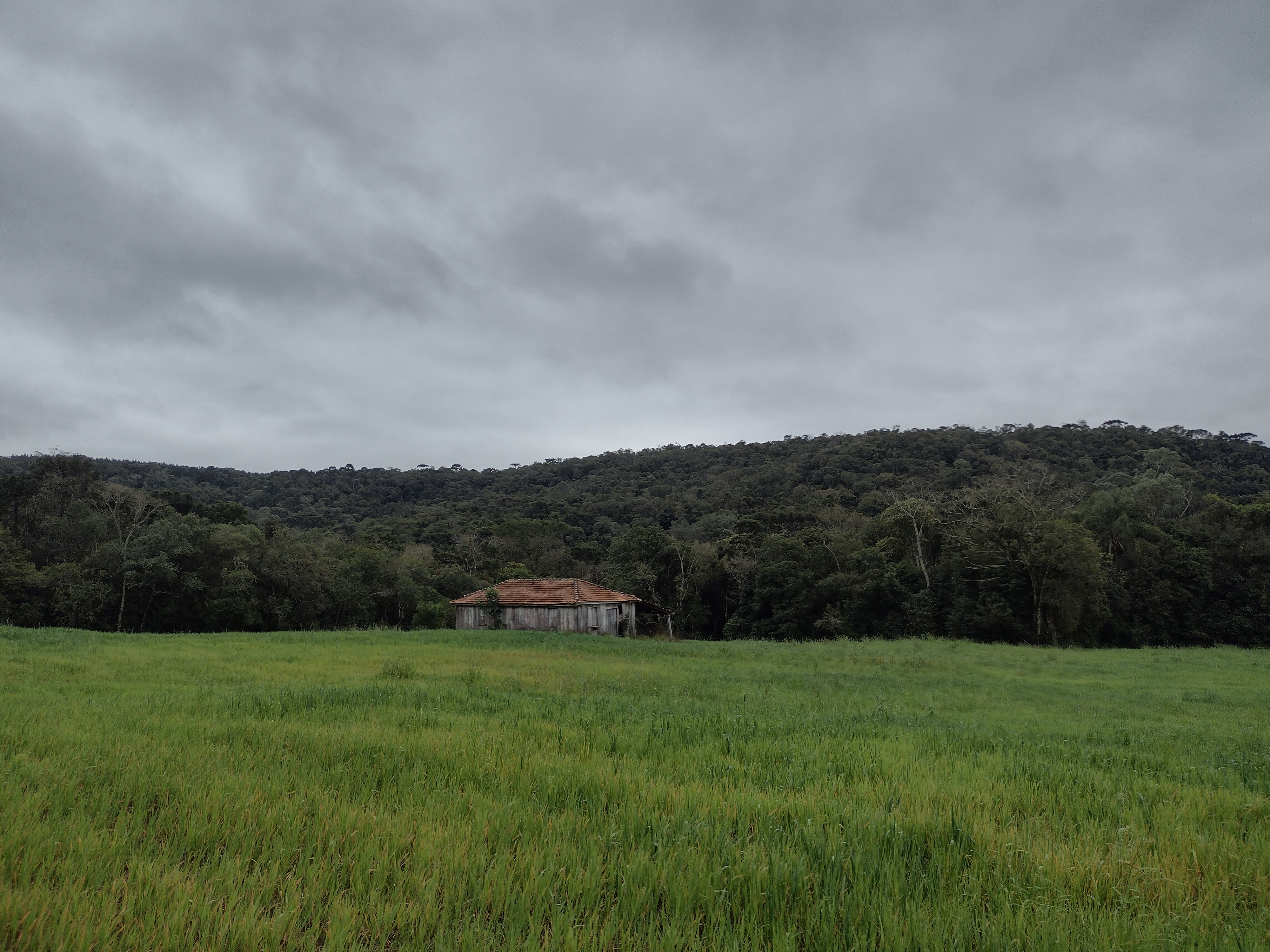 Stec Imóveis - Imobiliaria em Contenda Stec Imóveis - Imobiliaria em Contenda