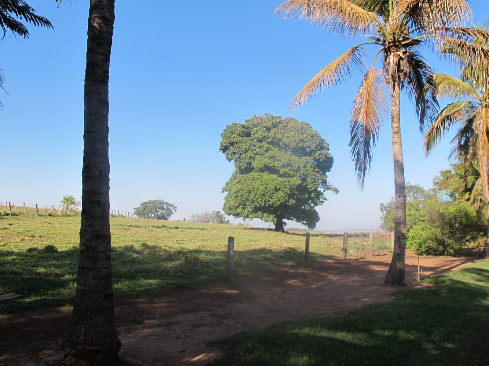 Stec Imóveis - Imobiliaria em Contenda Stec Imóveis - Imobiliaria em Contenda