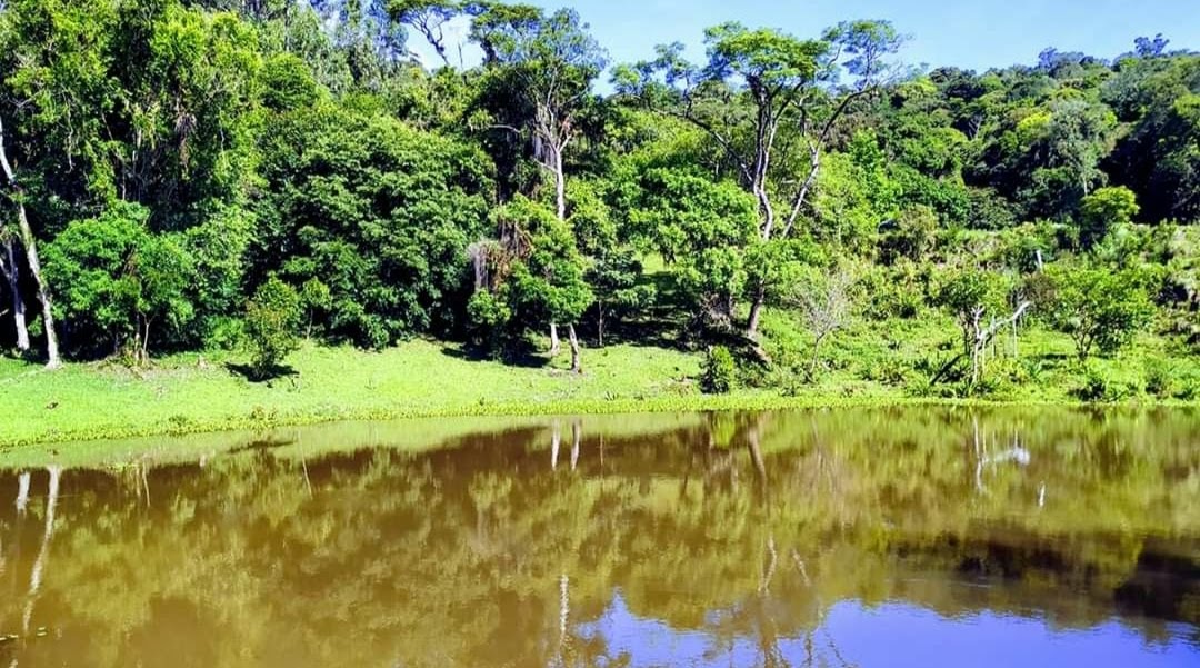 Stec Imóveis - Imobiliaria em Contenda Stec Imóveis - Imobiliaria em Contenda