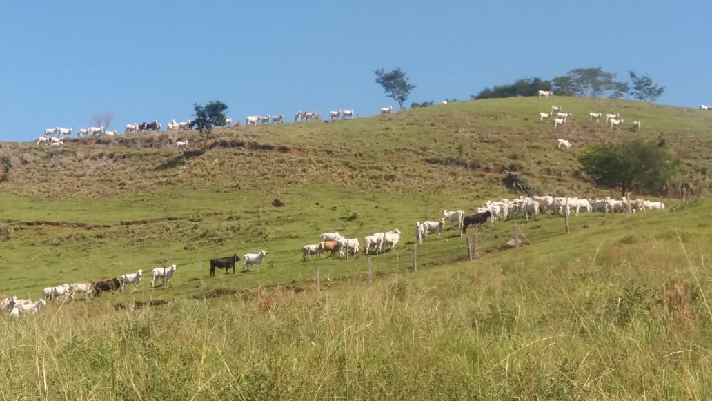 Stec Imóveis - Imobiliaria em Contenda Stec Imóveis - Imobiliaria em Contenda