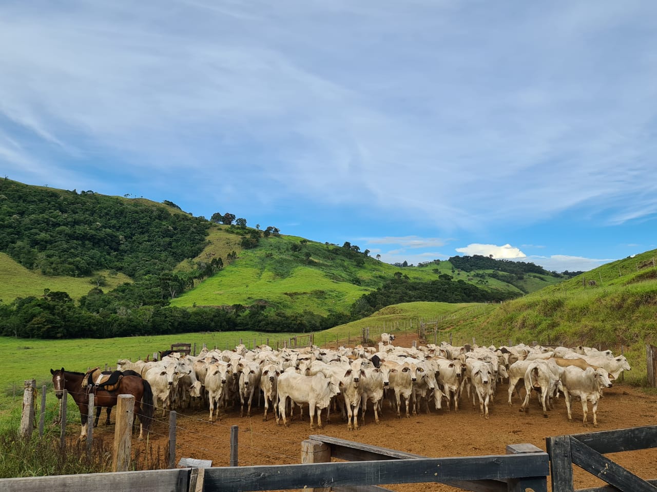 Stec Imóveis - Imobiliaria em Contenda Stec Imóveis - Imobiliaria em Contenda