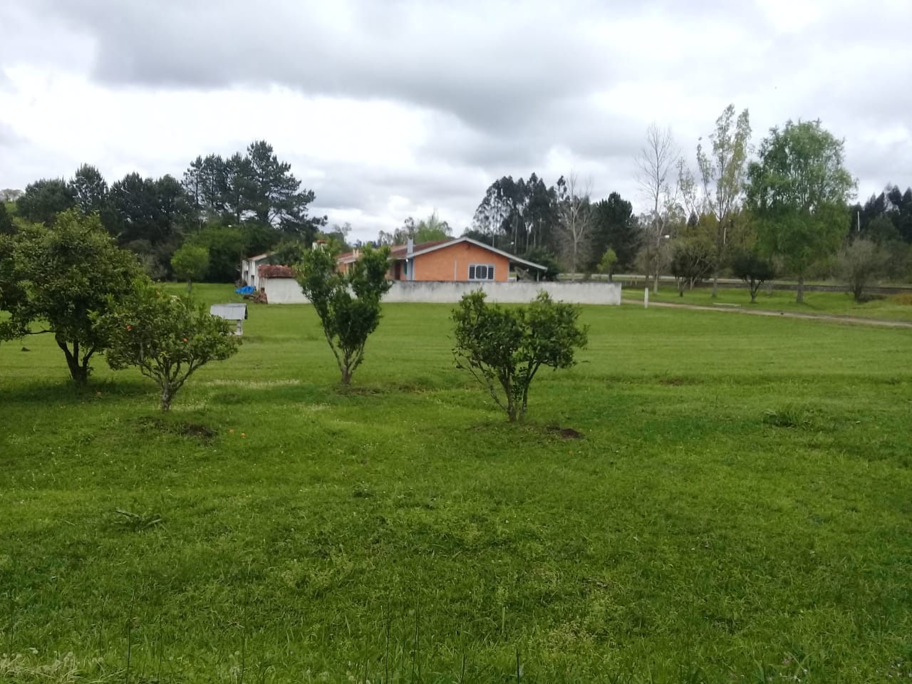 Stec Imóveis - Imobiliaria em Contenda Stec Imóveis - Imobiliaria em Contenda