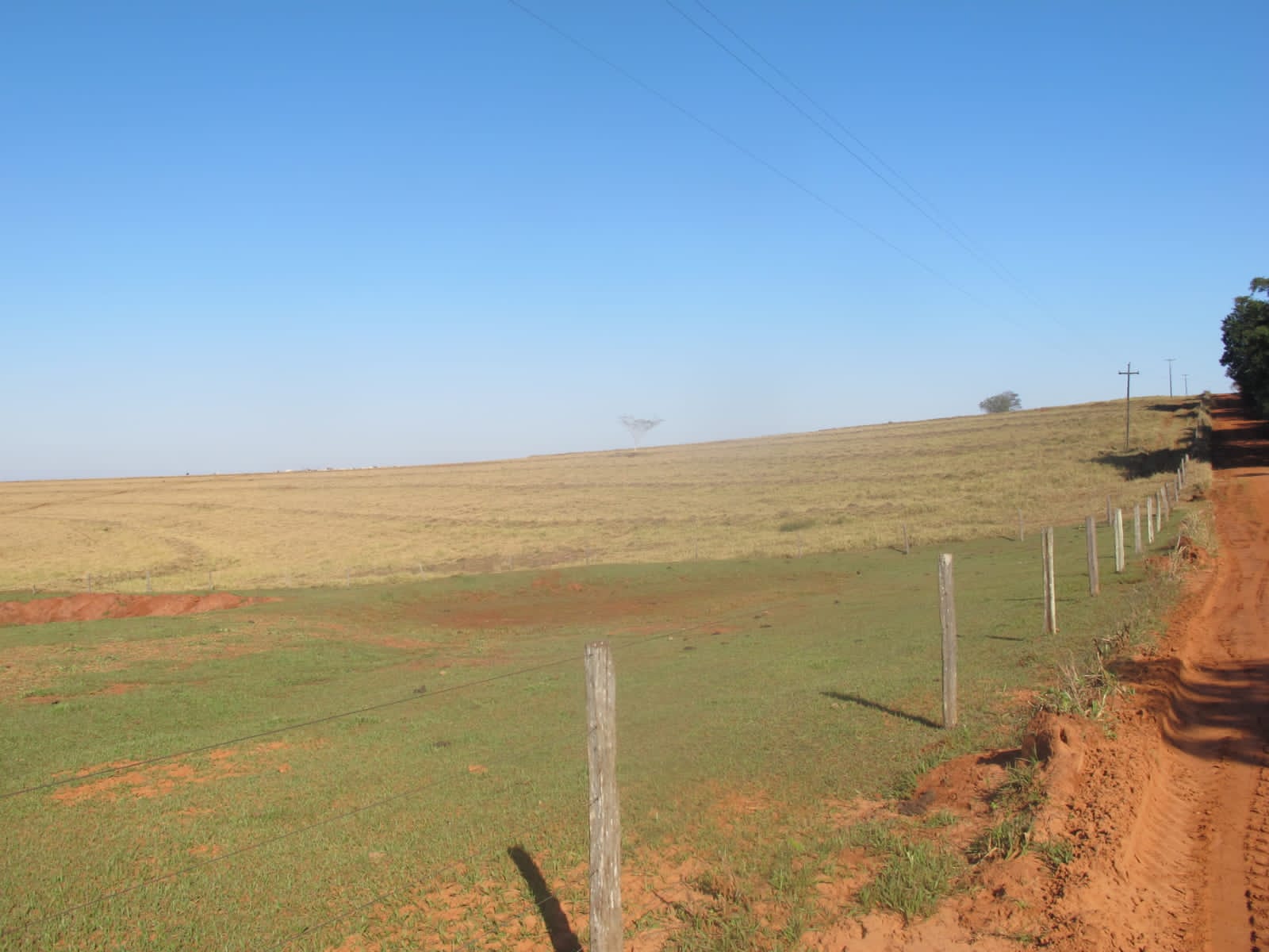 Stec Imóveis - Imobiliaria em Contenda Stec Imóveis - Imobiliaria em Contenda